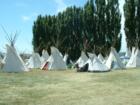 Beautiful tents at the Indian Encampment at the Omak Stampede