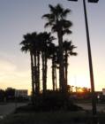 Another beautiful sunset. This photo was taken at Embry Riddle Aeronautical University. I am proud of my home town and strive to portray it in the best manner possible, when selecting which photos to post here.  