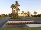 Lovely tree lined street with freshly planted flowers and maturing palm trees. This gorgeous setting is on the Embry Riddle Aeronautical University campus.
