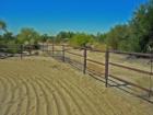 Tucson Horse Corral