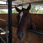 Friendly in Tucson, AZ