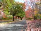 Princeton - Princeton Ridge development