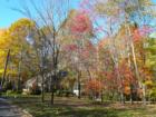 Princeton Arreton street Princeton Ridge