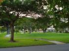 Neighborhood view