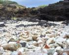 Makena Beach coral rubble on shore