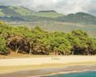 view looking at Big Beach Makena and upcountry Ulupalakua