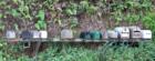 Haiku rural mailboxes along the Hana Highway near Twin Falls Maui