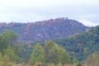 VIEW FROM ENTRANCE OF MISTY ACRES