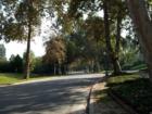 Ar119587307144096_l