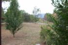 PINE HOLLOW WAY IN GREAT VIEW ACRES