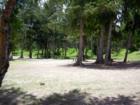 Waimanalo Beach Park picnic area, Oahu, HI