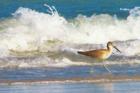 Wrightsville Beach photo by Ginger Sala Wiimngton NC Realtor 
      