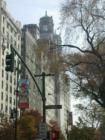 West 81st Street