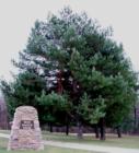 War Eagle Park, near the border between Iowa and South Dakota.