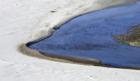 Big Sur, CA. Beach Stream ~ Photo Art by David Gendron. 2007 Copyright. David Gendron. All rights reserved.