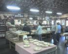 Georgia Apple Festival is huge in Georgia's apple capital. Visiting Panorama Orchard's Store on I-575 is an annual favorite for my family and our visitors like Grandma Walker from Alaska.