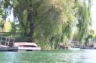 Private boat docks at California Park Lake.