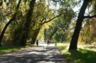 Bidwell Park, fall of 2007