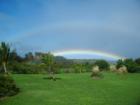 bright maui rainbow in haiku garden
