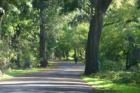 Bidwell Park in Chico, CA.