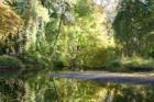 Reflections in Bidwell Park, Chico CA
