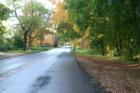 Vallombrosa Avenue, near Bidwell Park in Chico, CA