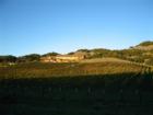 Nicholson Ranch Winery and Champagne Caves.