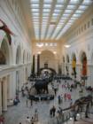 Field Museum