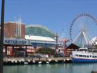 Navy Pier.