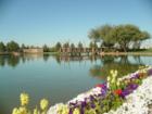 One of two catch and release fishing lakes with in Power Ranch