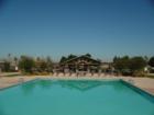 The pool and spa located at the Ranch House in Power Ranch 