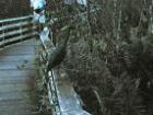 Ar119612501358118_l