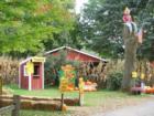 The Pumpkin Patch