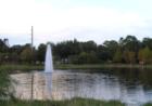 Peaceful fountain in the middle of this serene setting. 