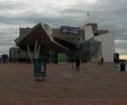 The New England Aquarium in Boston