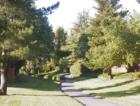 This is the green belt running through Kirkwood.  www.KirkwoodNeighbors.com