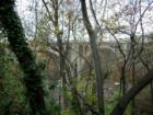 The Taft Bridge carries traffic over Rock Creek Park