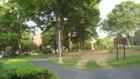 Parkland in Downtown White Plains off Lake St. and North Broadway