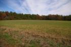 Silk Hope countryside - just a short drive from Raleigh, Chapel Hill or Durham.  Homes on acreage available at Cattail Creek.