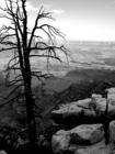View of the Grand Canyon from the South Rim - Ben Bailey, Arizona Premiere Living, 480/220-8022