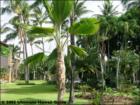 Kihei Garden Estates, Kihei, Maui Hawaii  <a href="http://www.garybland.com">http://www.garybland.com</a>
      
      <a href=" http://www.realestatemaui.us">Visit my Maui Real Estate weblog.</a>
      