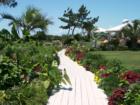 Wrightsville Beach Blockade Runner Gardens photo by Ginger Sala Wiimngton NC Realtor