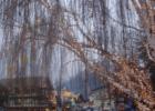 Downtown Leavenworth