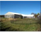 Essex Horse Farm