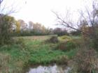 Farmington has areas of wetlands that are being preserved even though housing developments are near buy. It is a nice marriage of new homes and wildlife.