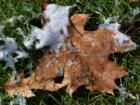 As the sun comes out, the first snow begins to melt.