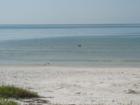 Views from Smugglers cove, Lee County, FL