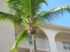 Pointe South, Fort Myers Beach, FL