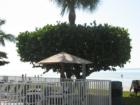Pointe South, Fort Myers Beach, FL