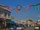 Apex dressed up for the Christmas holiday and festivities.